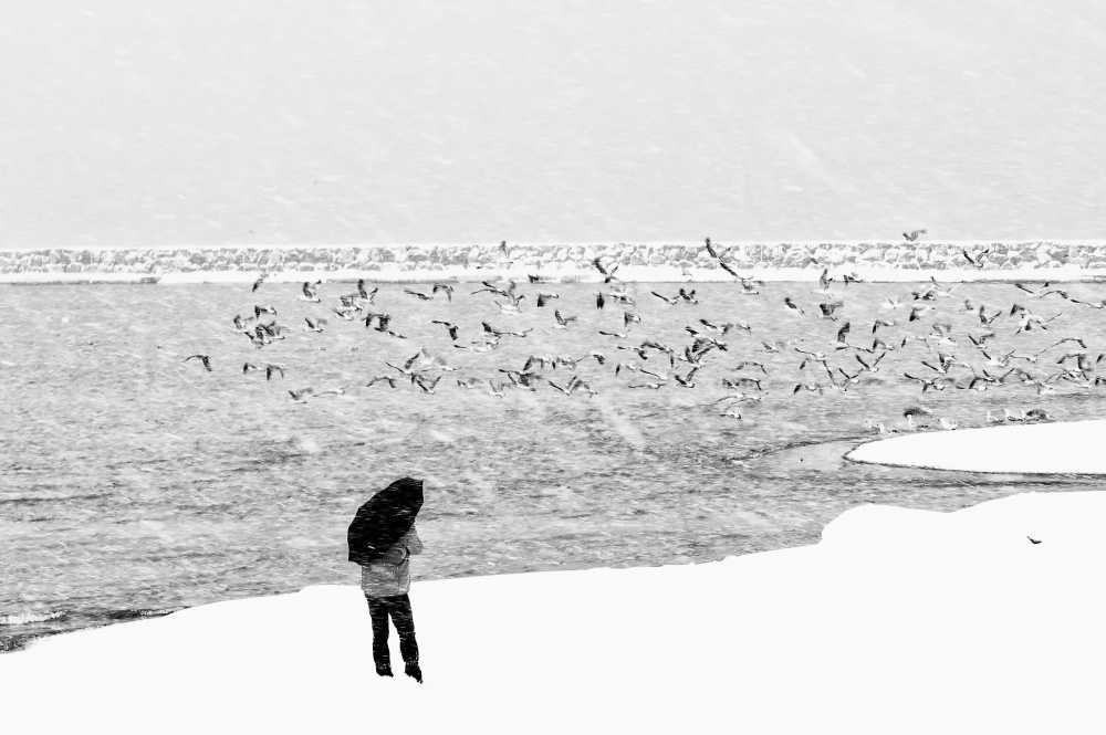 <span>Siyah Beyaz</span>