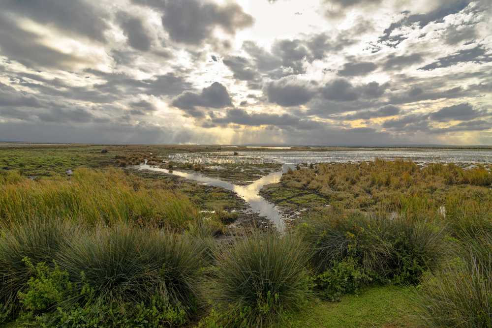 <span>Başarılar</span>Kızılırmak Deltası Fotomaratonu 2017 - Sergileme