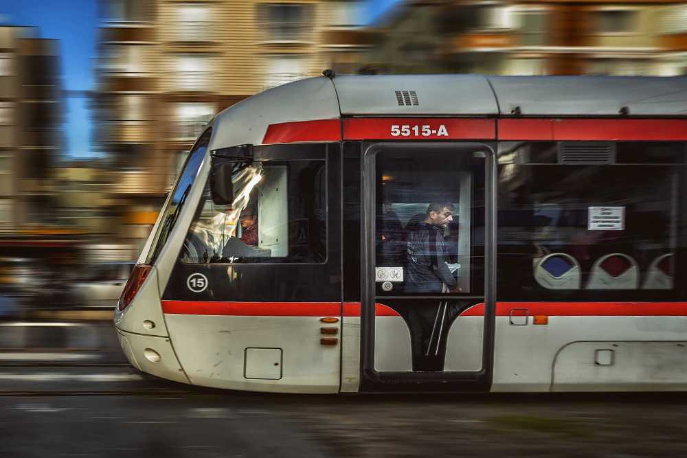 <span>Başarılar</span>6. Aralıksız Ulusal Davetli Fotoğraf Sergisi 