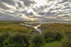 Kızılırmak Deltası Fotomaratonu 2017 - Sergileme