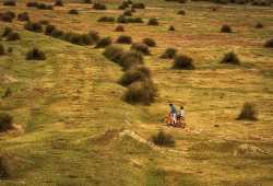 45. Uluslararası Fotoğraf Yarışması Sırbistan 2 Sergileme - 2021